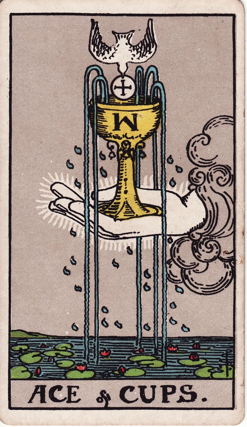 Hình lá bài Át Cốc (Ace of Cups) — Ẩn phụ · chất Cốc